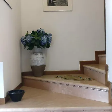 Apartment Be My Guest!